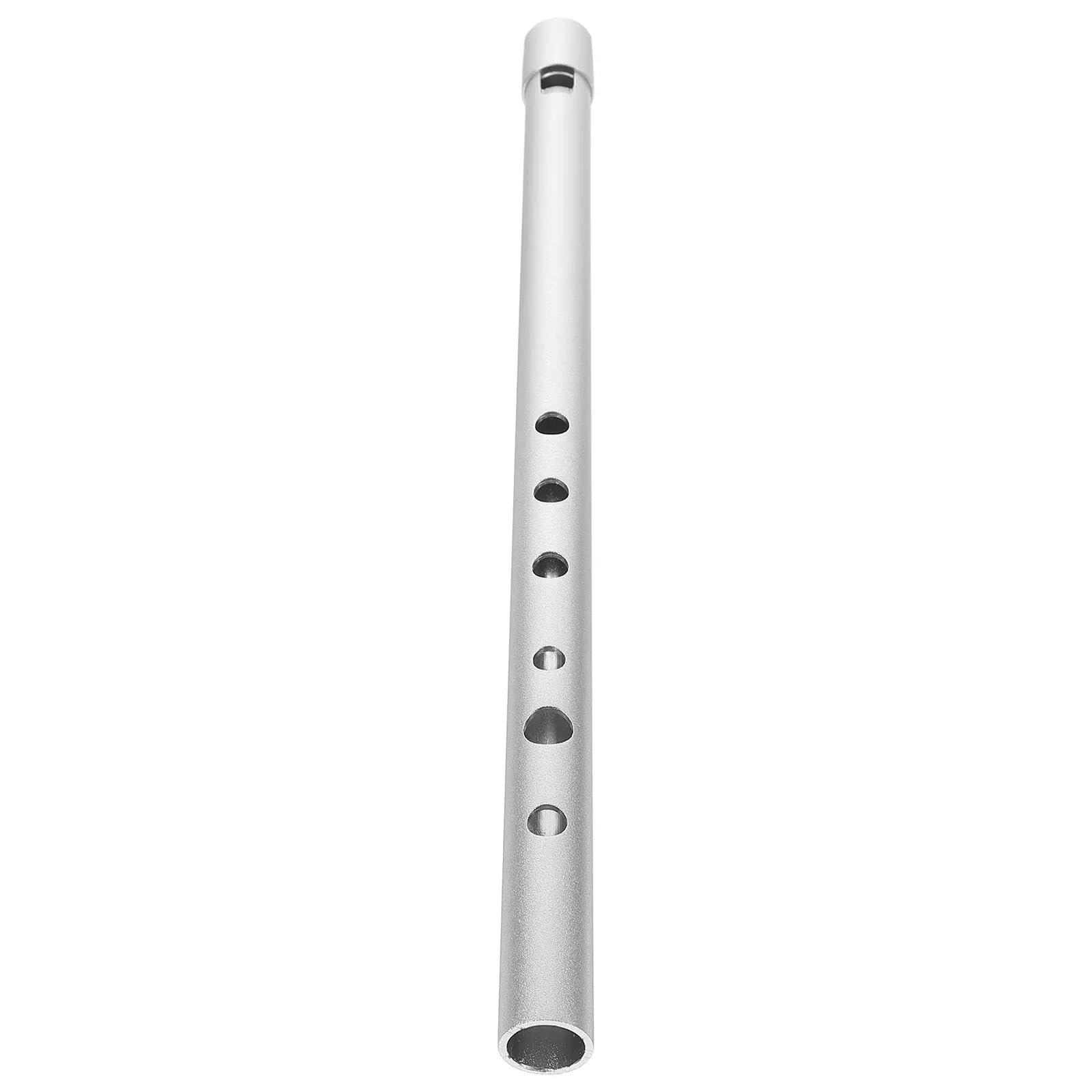 Flauto Dolce Professionale Flauto Dolce Soprano In Chiave Di Strumento A Fiato Portatile A 6 Fori In Lega Alluminio D Per Principianti