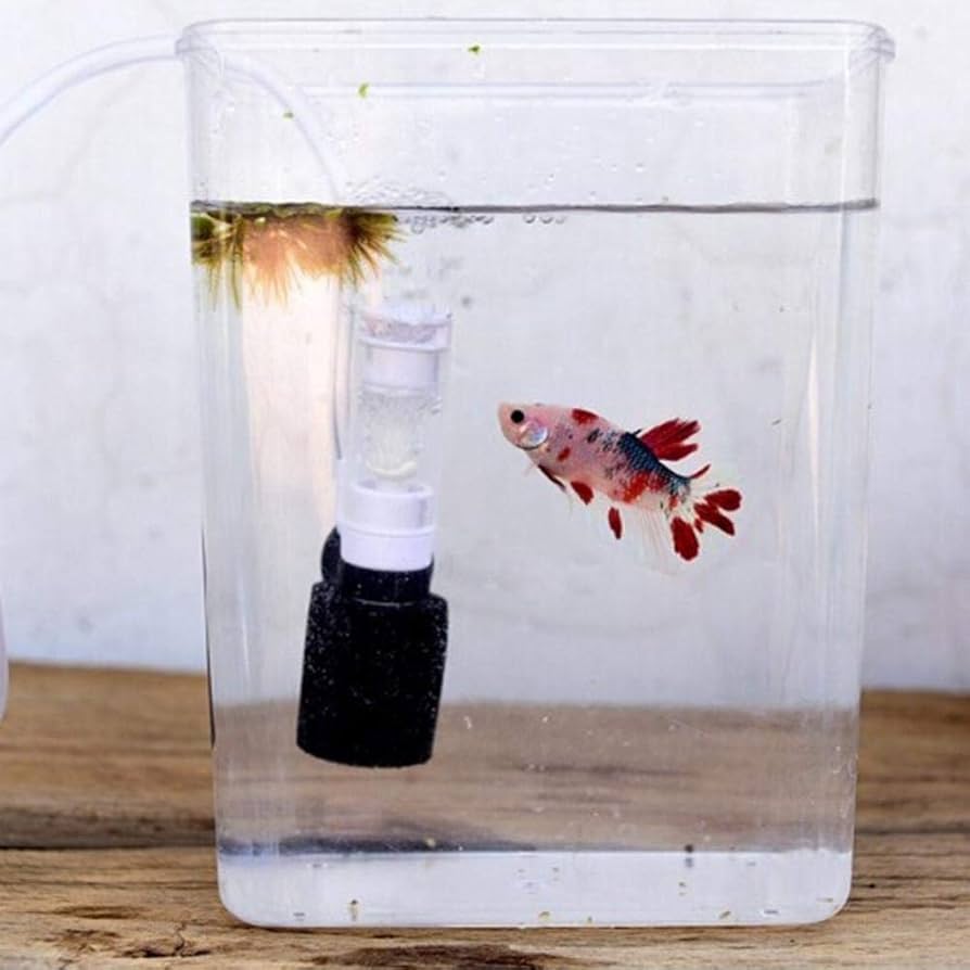 Amazon.co.jp: BluFied 水槽 フィルター 金魚鉢 水族館用 ミニ