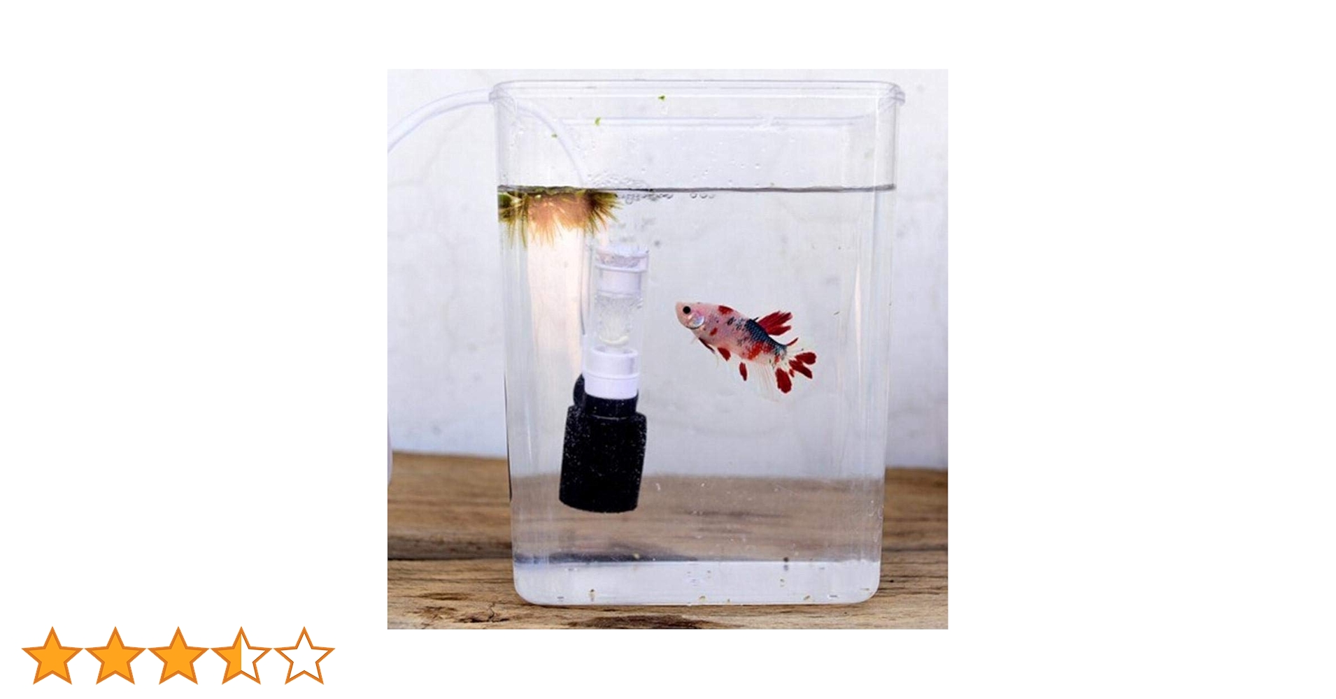 水槽にマイケル Are you going to use this in your new aquarium?! Introducing