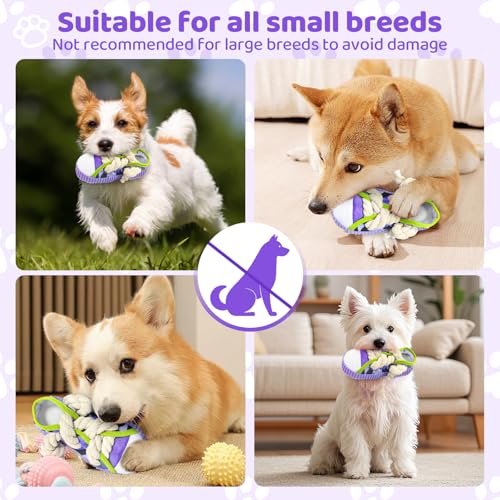 dellyy Hundespielzeug Kuscheltier, Hundespielzeug für Welpen und Kleine Hunde, Geschenke für Hunde, Slipper-Spielzeug, Hundegeschenk Weiches Quietschendes Plüschspielzeug (Lila)
