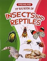 My Big Book of Insects and Reptiles 1730117023 Book Cover