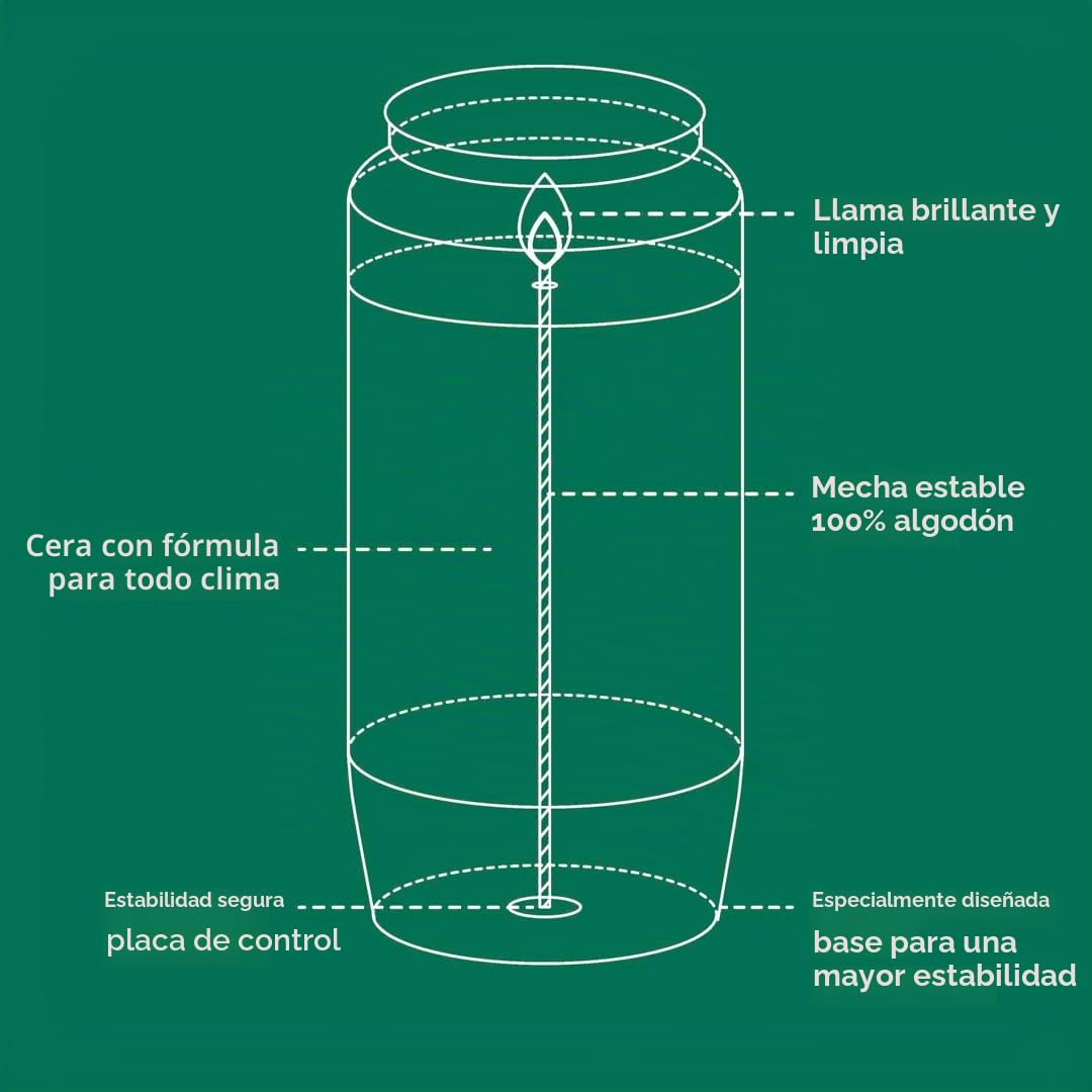 Bolsius - Luz para tumba – blanco – 24 unidades – Duración de combustión 4 días – Vela de luto y memorial velas – Quema limpia – Sin aceite de palma