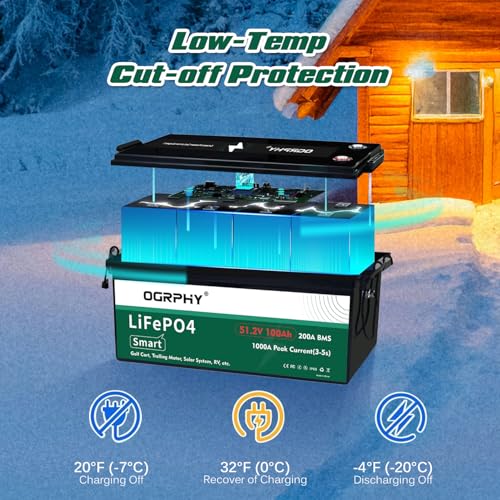 Battery Management System Bluetooth Module