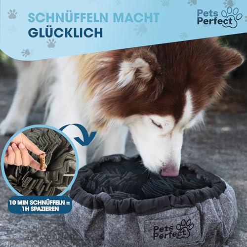Pets Perfect® Schnüffelteppich Hund – Intelligenzspielzeug & Schnüffelmatte zur Nasenarbeit – rutschfest, Waschbar & Filz-Material – Beschäftigung & Lernspielzeug für kleine & große Hunde