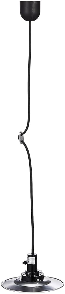 ペンダントライト 安土草多 吹きガラス ペンダントライト 球 墨透き被せ az-l04z3