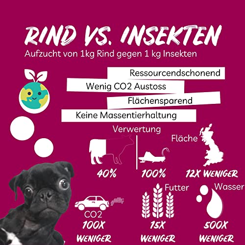 BugBell 8x150g Hundekeks, Trainingsleckerli für Hund, ohne Getreide & Zucker, hochwertige Zutaten sorgen für Lebensfreue und wirken gegen Depressionen & schlechte Laune, hypoallergenes Insektenprotein