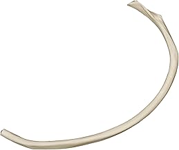 Replica Human Single Rib (Teaching Quality Replica)