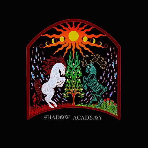 The Shadow Academy