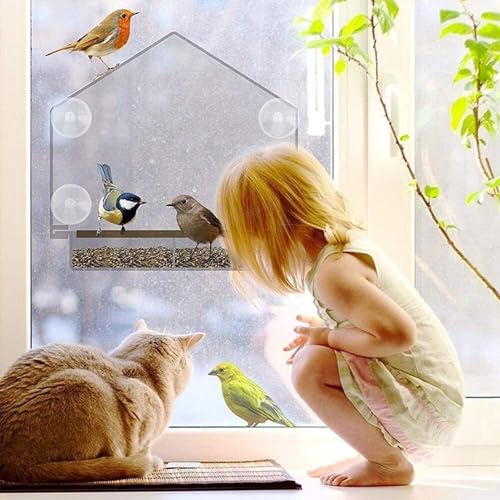 Mangeoire à oiseaux pour fenêtre transparente à ventouses avec 2 compartiments