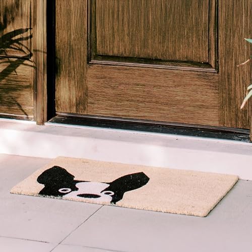 THEODORE MAGNUS Dog Door Mat - Welcome Mat for Front Door with Non-Slip Backing - Durable Doormat - Perfect for Outside Entrance Matt - Outdoor/Indoor - French Bulldog - 17" x 30"