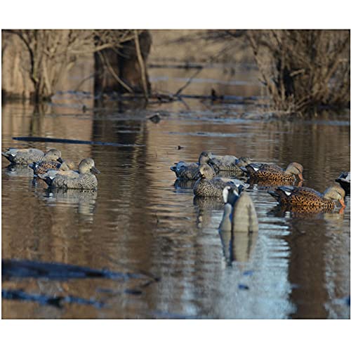 Avery Hunting Gear Pg Gadwall (1/2 Dozen) #TOP2
