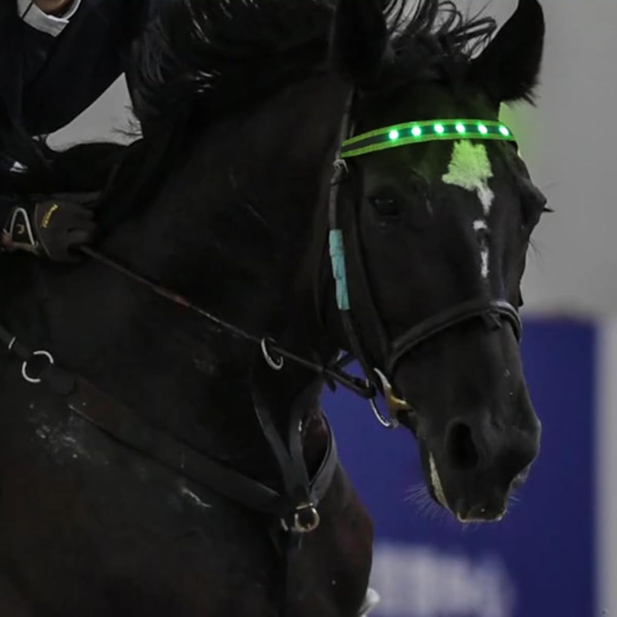 QQY Horse Headband LED Horse Breastplate Collar LED Strip Visibility Tack Horse Head Strap Bandage Strap for Night Horse Riding Equestrian Competition Event (Green)