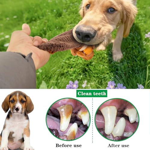 Eichhörnchen Hundespielzeug,Intelligenzspielzeug für Hunde,Quietschend Welpenspielzeug,Interaktives Hundespielzeug,Schnüffelspielzeug Hund,Puzzle Toys for Dogs,Herbst Hund Plüsch Kauspielzeug