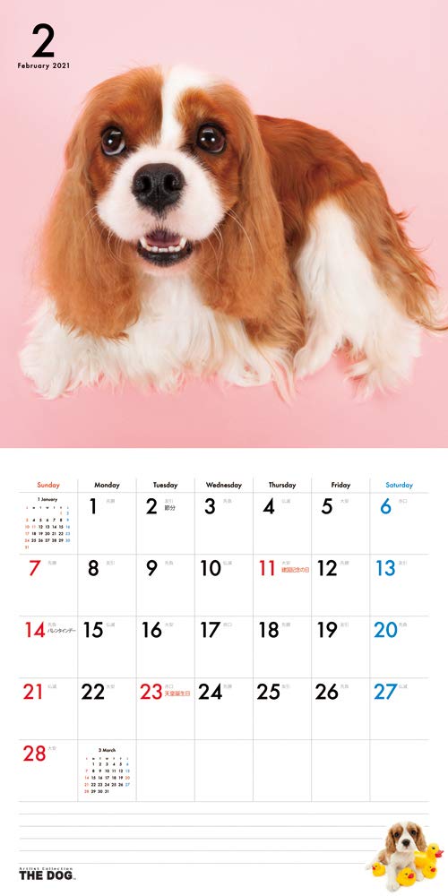 Amazon | 【THE DOG】 カレンダー 大判サイズ ≪キャバリア・キング