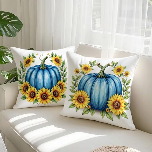 Taie oreiller double face bleu 60x60 en velours haut de gamme