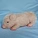 Eummy Pig Best Gift-5 Inch Mini Realistic Silicone Pig White,Stretchy Fake Animals Full Body Hand Silicone Baby Pig ,Cute Silicone Animals Fake Pig Reborn,Lifelike Baby Piggy Doll Soft Body