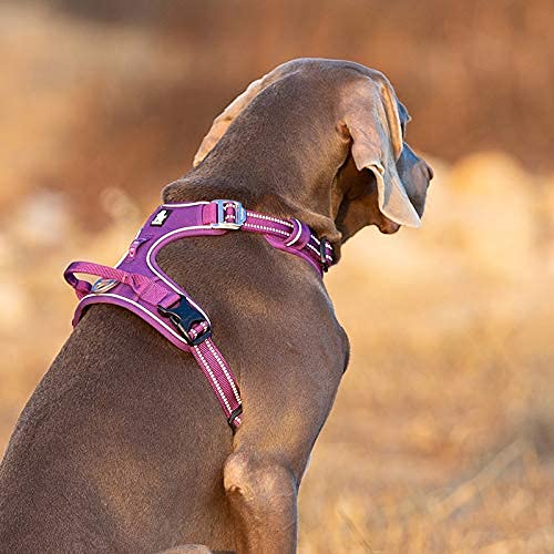 Truelove No Pull Hundegeschirr, reflektierendes Hundegeschirr für Hunde, verstellbare weich gepolsterte Haustierweste mit einfachem Bediengriff TLH56512