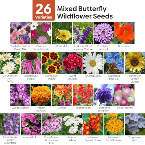 Groundio Wildflower Seeds Bulk, 1/4 lb, 100,000+ Seeds, 26 Variety Mix with Zinnia, Milkweek Seed, Attracts Pollinators, Plant in Spring or Fall, Zones 3, 4, 5, 6, 7, 8, 9, 10