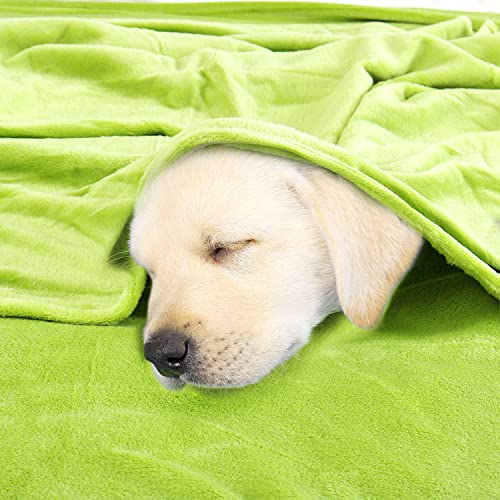 sourcing map Flannel Fleece Blanket Soft Lightweight Plush Microfiber Bed or Couch Blanket, Yellow Green 150 x 200cm - Image 3