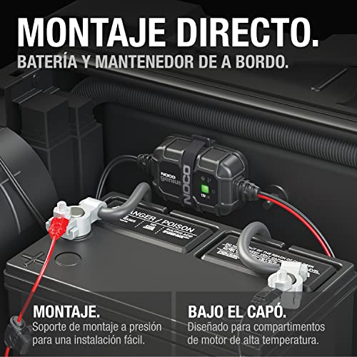Cargador de batería de 12 voltios 11 Imagen adicional