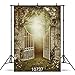 Produktbild GzHQ 10737 Fotohintergrund für Halloween, Vinyl, altes Gartentor mit Rosen, 12,7 x 2,1 m