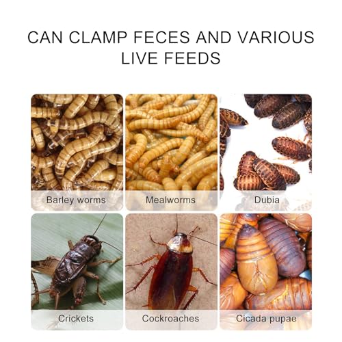 Alimentador de grilos para répteis, pinças de alimentação de cobras - Ferramenta de manuseio de clip