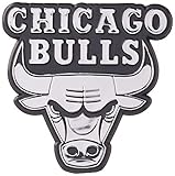 NBA Chicago Bulls Molded Auto Emblem
