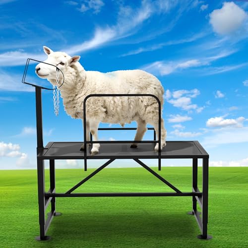 QonicFly Heavy Duty Goat Milking Stand with Side Railings & Adjustable Headpiece - 47x24 Inch Metal Livestock Trimming Stand, 550LBS Capacity, Adjustable Height 20"-34" for Sheep, Goats, Lambs