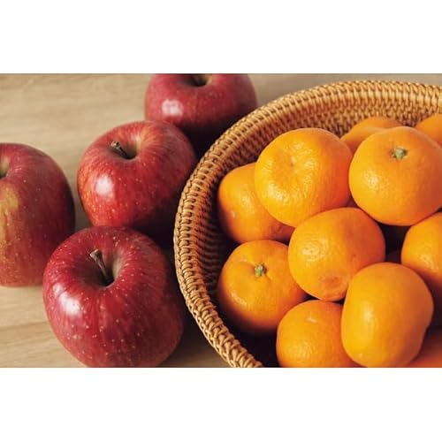 y2025 Εz Lc݂EMBTӂ񂲁EEtXl (Ε̂)