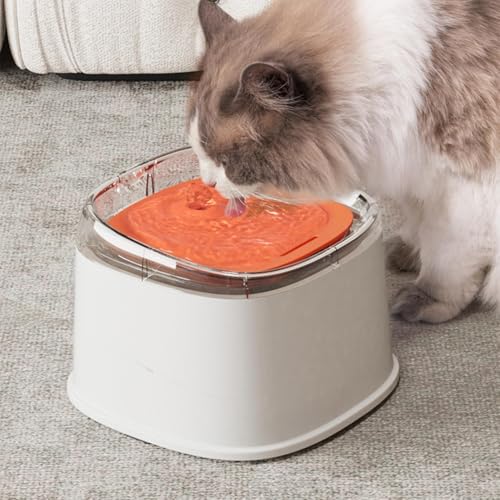 Fuente para gatos que evita salpicaduras con tapete silencioso 5