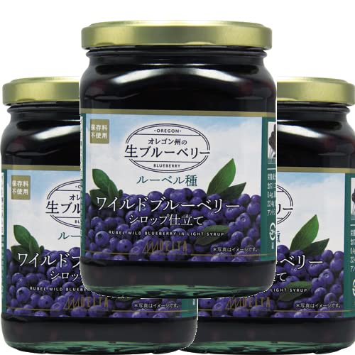 Amazon | ワイルドブルーベリーシロップ仕立て 555g 3個セット