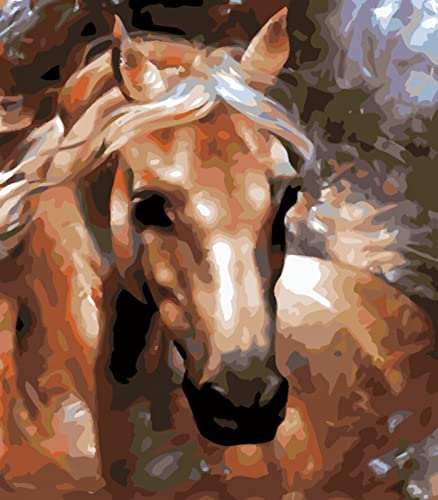 Broderie diamant cheval 5D : kit complet strass brillant pour loisir creatif et detente a la maison