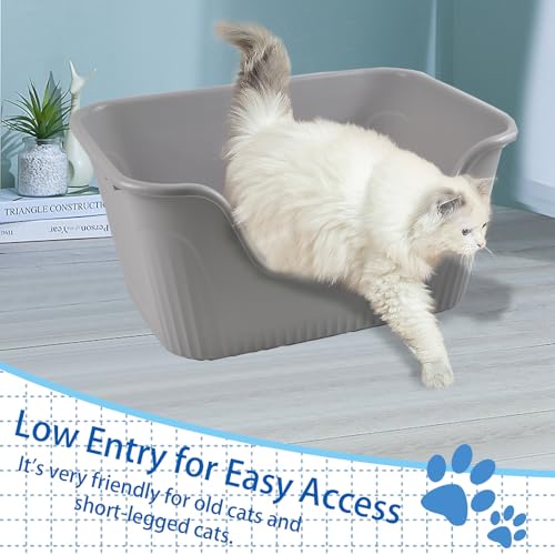 Arenero para gatos grande con entrada baja y bordes altos miniatura 3