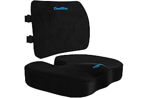 Ergonomic Memory Foam Back Cushion for Office Chair