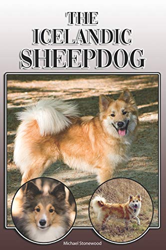 The Icelandic Sheepdog: A Complete and Comprehensive Owners Guide to: Buying, Owning, Health, Grooming, Training, Obedience, Understanding and Caring for Your Icelandic Sheepdog