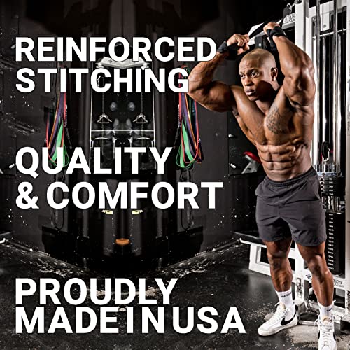 Schiek Ab Strap con argolla de acero resistente para entrenamiento de gimnasio 2