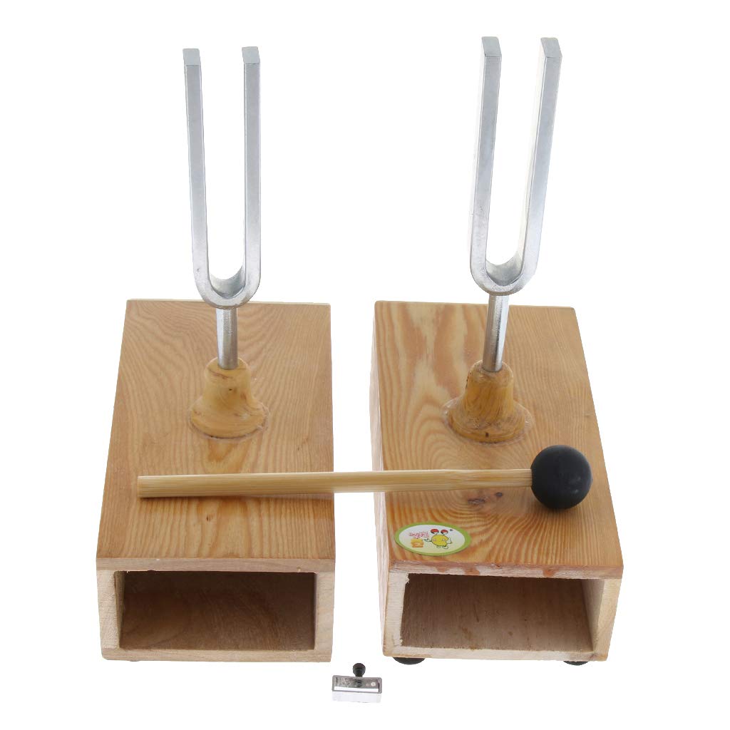 440 Hz Resonanzbox aus Holz mit Stimmgabel, akustisches Werkzeug