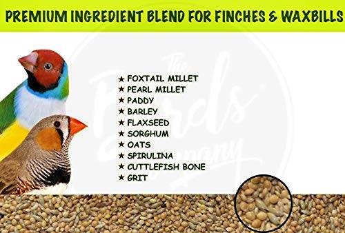 The-Birds-Company-Premium-Seed-Blend-of-6-Grains-Fortified-with-Spirulina-Bird-Food-for-Finches-Waxbills-450-g