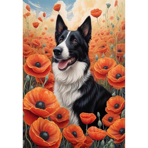 TWYYDP Puzzle de 1000 Pièces,Fleur de Pavot et Animal Border Collie,Puzzle en Bois,Jeux pour Soulager Le Stress