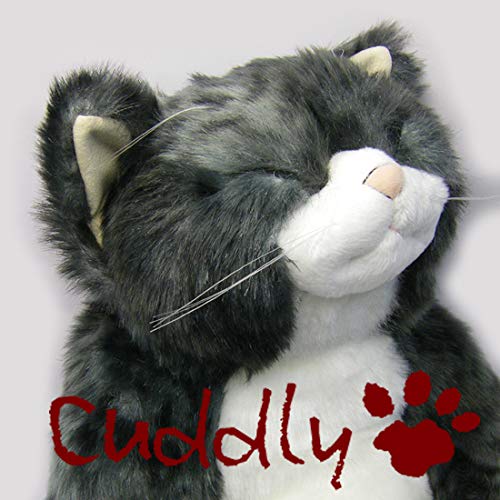Amazon.co.jp: ＜Cuddly＞カドリー こだわりのぬいぐるみ 猫の