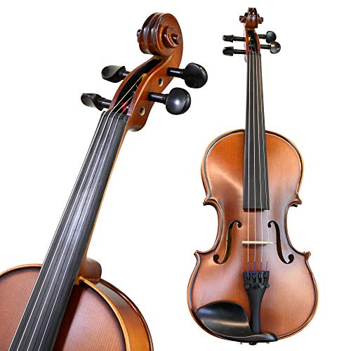 Professional Violin Beginner Full Size