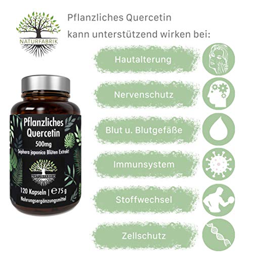 NATURFABRIK Quercetin 500mg | 120 Kapseln | 100% reines Sophora japonica Blüten Extrakt aus japanischem Schnurbaum | hochdosiert | 4 Monatsvorrat | Made in Germany