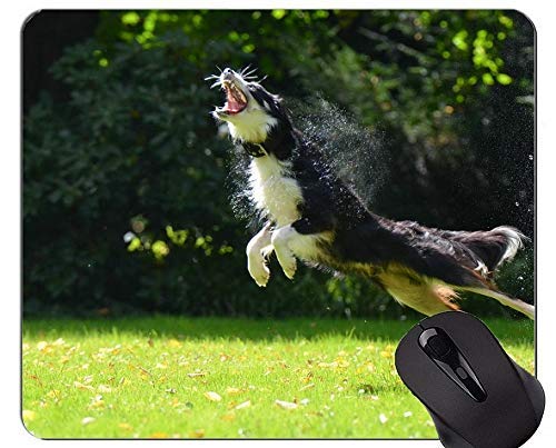 Preisvergleich Produktbild Mausmatte,Mauspad Mit Design Ein Hund Deutscher Schäferhund, Seifenblasen Komfortable Mausmatte Für Spiele Und Büro