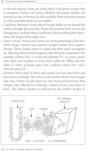 The Intelligent Gardener: Growing Nutrient-Dense Food - Image 5