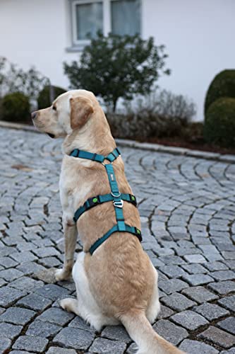 Kerbl Pet Panikgeschirr, Hundegeschirr, petrol, Halsulmfang 38-52cm, Gurtbreite 20mm, für ängstliche Hunde, robust, verstellbar