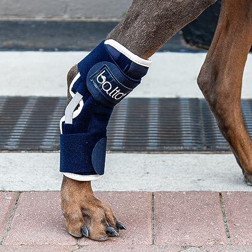 Image of Balto Hock Brace - Dog Brace with Aluminum Splints - Pre /Post Surgery Helps Support Arthritis and Unstable Joints - Back Leg Support (Medium)