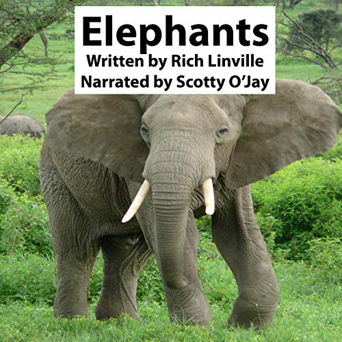 Elephants by Rich Linville episode artwork