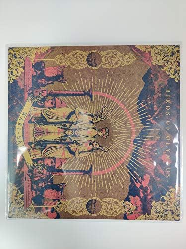 12" Outer Clear Vinyl Record Sleeves Polypropylene 80 Micron x 25