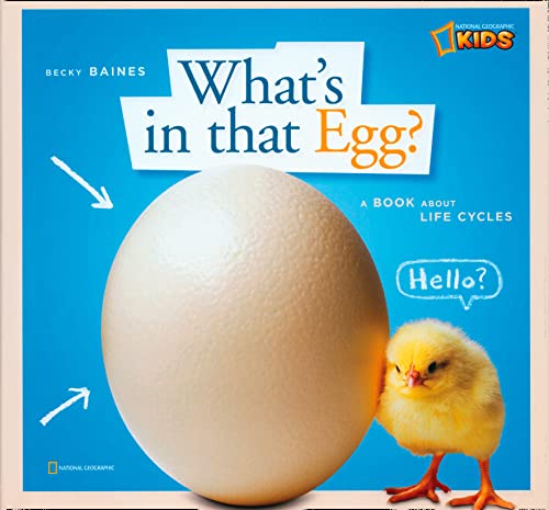 ZigZag: What's in That Egg?