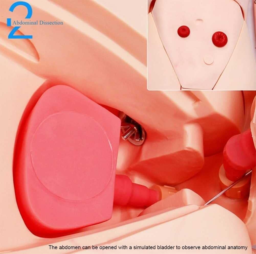 Patientenpflegesimulator, multifunktionales Kombinations-Pflegetrainingspuppenmodell, für die Schulung von Fähigkeiten und Unterrichtsmaterialien für Schüler, 170 cm